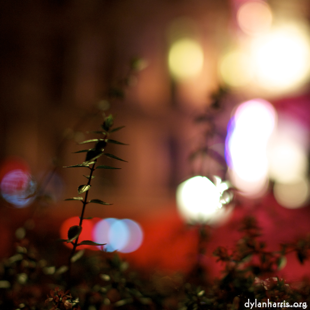 Image: Image 'nuit (v) 8'.