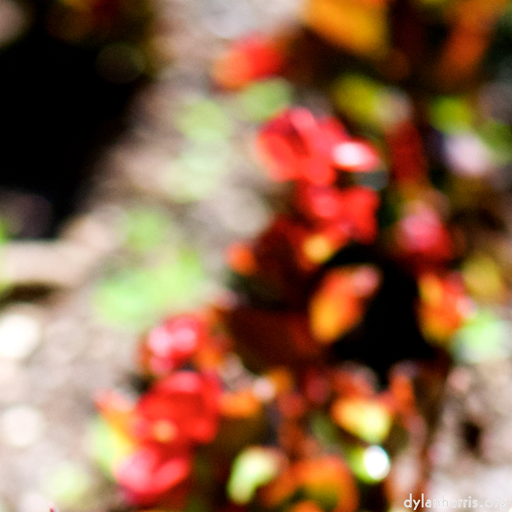 image: This is ‘parc (xxxix) 1’.