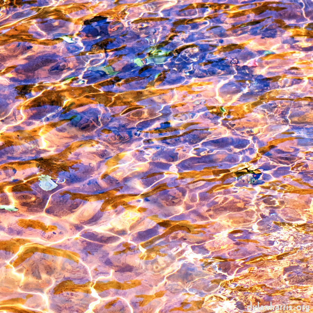image: This is ‘parc (xxxix) 9’.