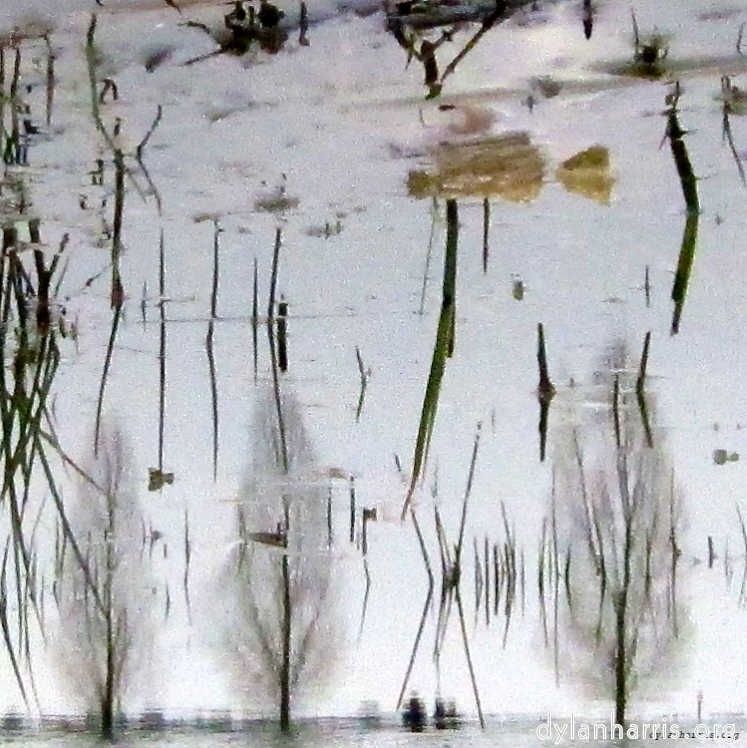 image: This is ‘eindhoven (ii) 2’.