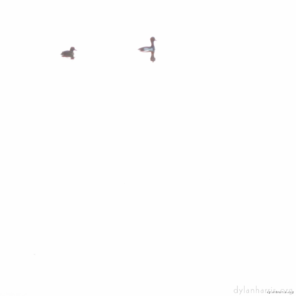 image: This is ‘eindhoven (ii) 6’.