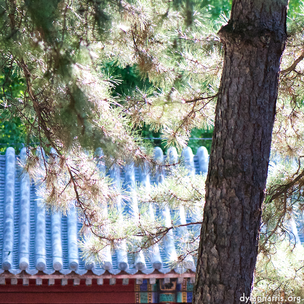 image: This is ‘tanzhe temple (iii) 2’.