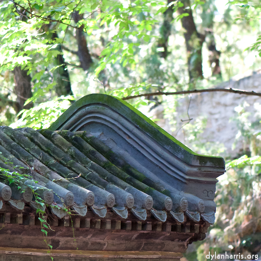image: This is ‘tanzhe temple (iv) 1’.