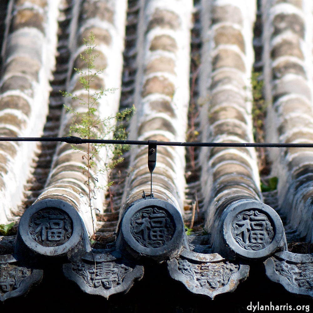 image: This is ‘tanzhe temple (iv) 3’.