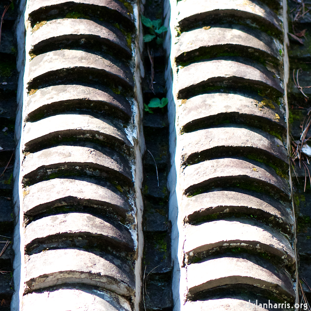 image: This is ‘tanzhe temple (iv) 6’.