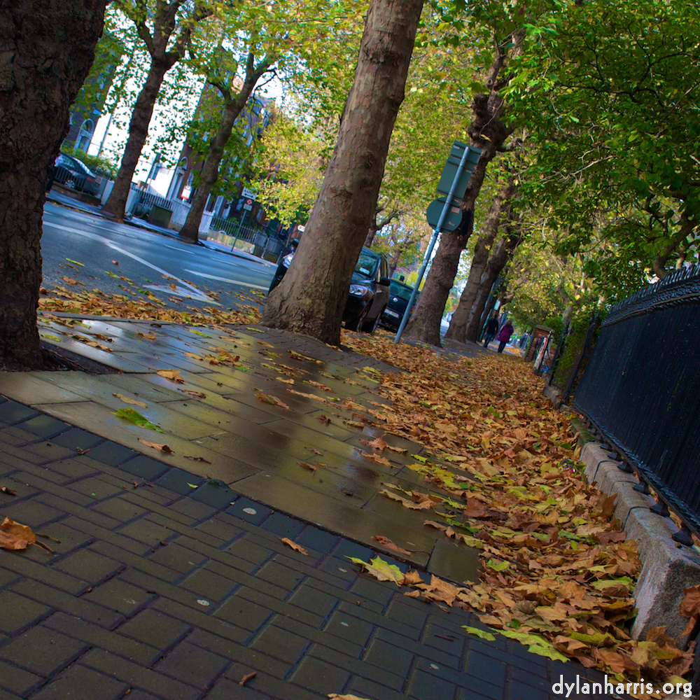 Image: Image 'dublin (vi) 1'.
