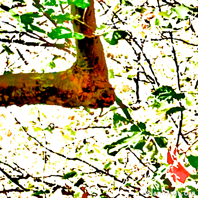 Image: Image 'dublin (vi) 6'.