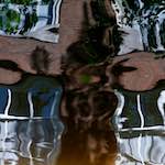 Image: Fourth image from the photoset 'amsterdam (x)'.