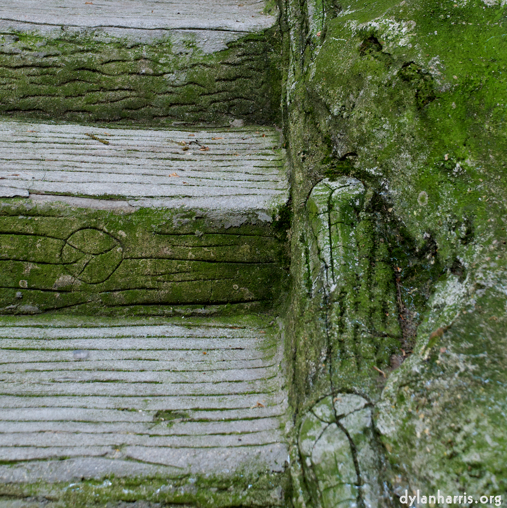 Image: Image 'parc (ii) 2'.