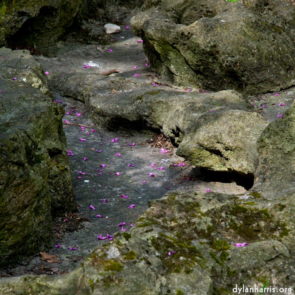 Image 'parc (ii) 3'.
