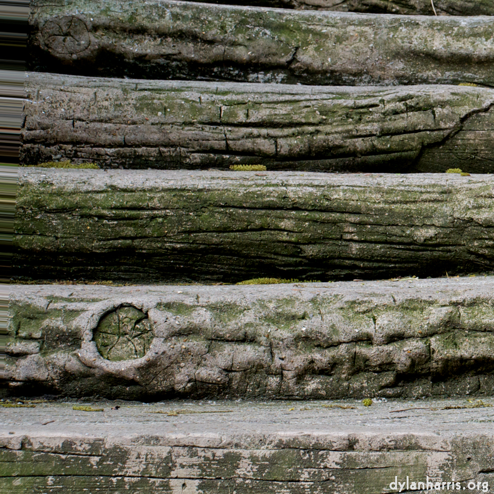 Image: Image 'parc (ii) 4'.