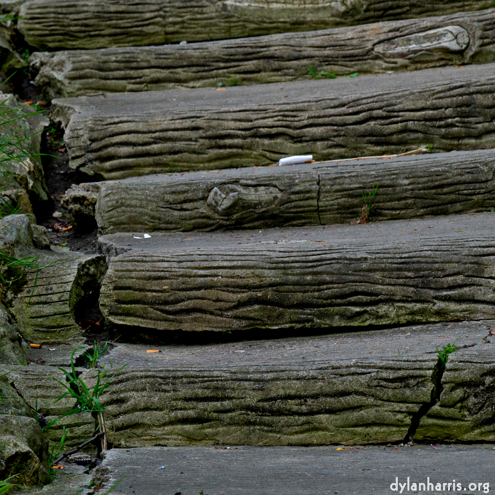 Image: Image 'parc (ii) 5'.