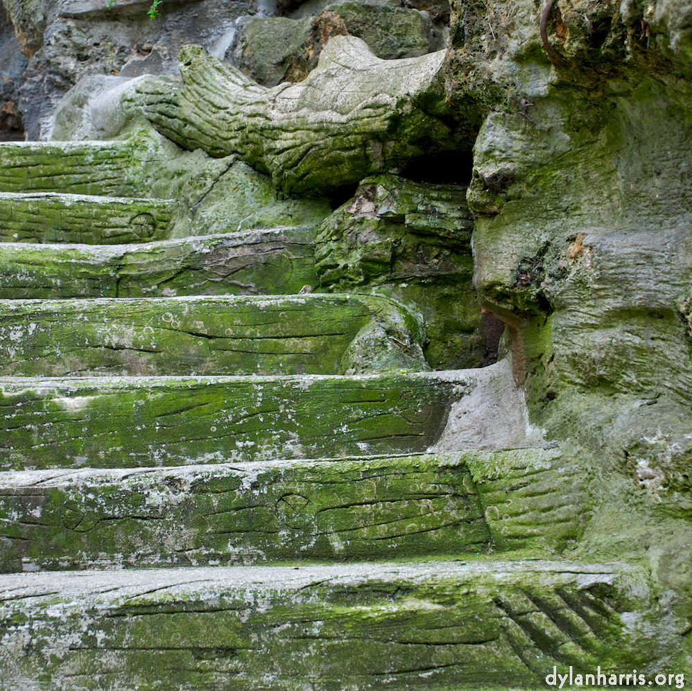 Image: Image 'parc (ii) 6'.