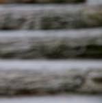 Image: First image from the photoset 'parc (ii)'.