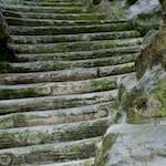 Image: Tenth image from the photoset 'parc (ii)'.