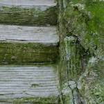 Image: Second image from the photoset 'parc (ii)'.