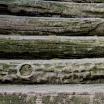 Image: Fourth image from the photoset 'parc (ii)'.