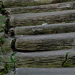 Image: Fifth image from the photoset 'parc (ii)'.