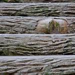 Image: Eighth image from the photoset 'parc (ii)'.