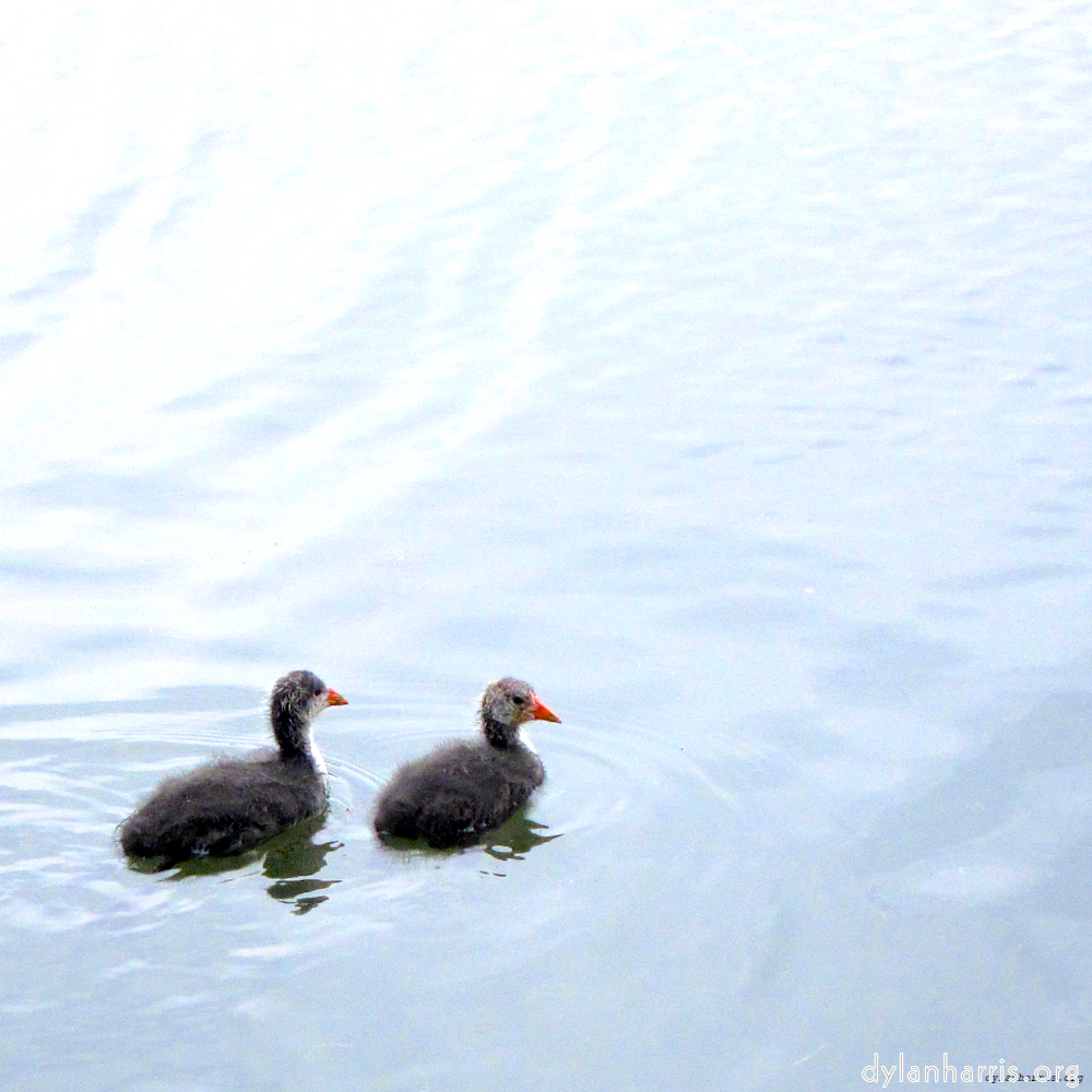 Image 'eindhoven (viii) 1'.