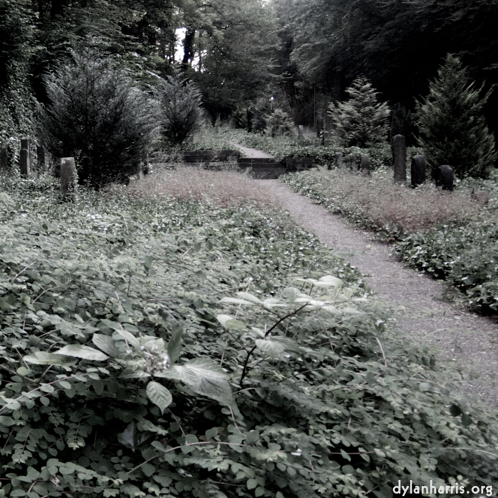 Image 'way to work (ii) 8'.