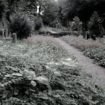 Eighth image from the photoset 'way to work (ii)'.