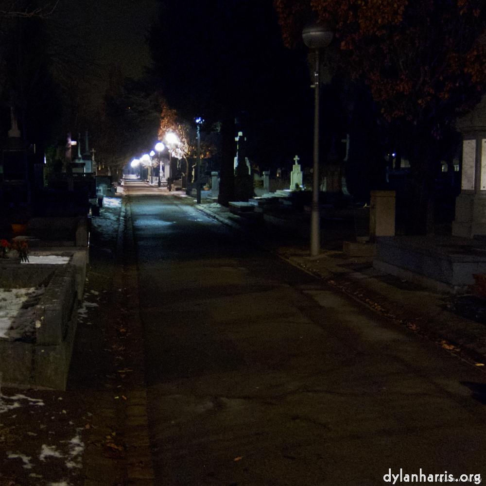 Image: Image 'walking home … 6'.