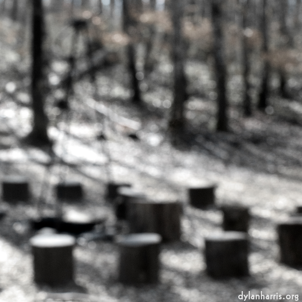 image: This is ‘wood (xxxix) 2’.