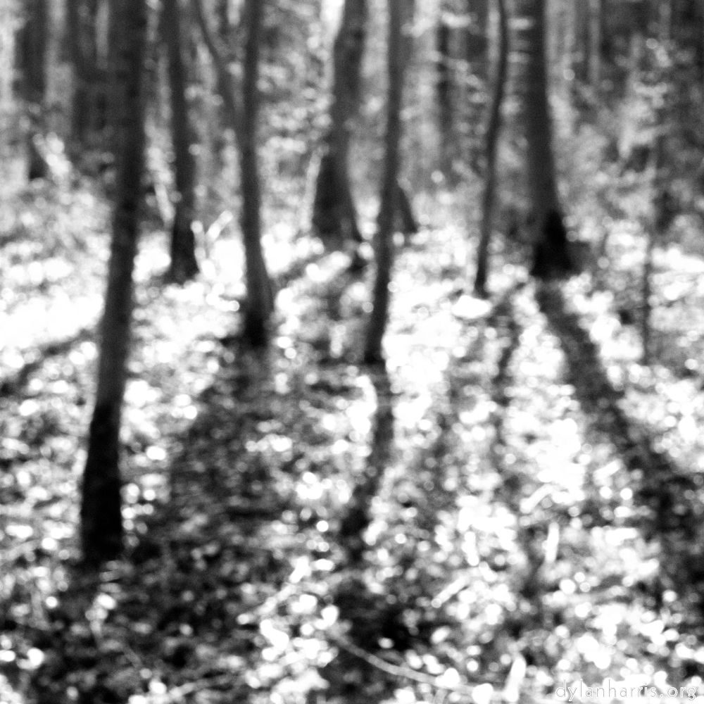 image: This is ‘wood (xxxix) 3’.
