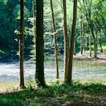 Image: terres rouges (iv) photoset