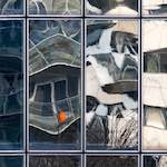 Fourth image from the photoset 'la défense (xxiii)'.