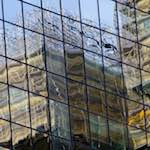 Image: Sixth image from the photoset 'la défense (xxx)'.