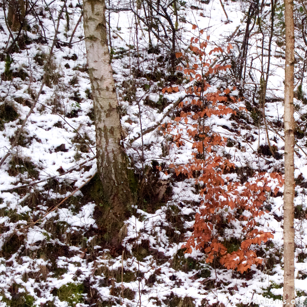 Image: Image 'way to work (v) 3'.