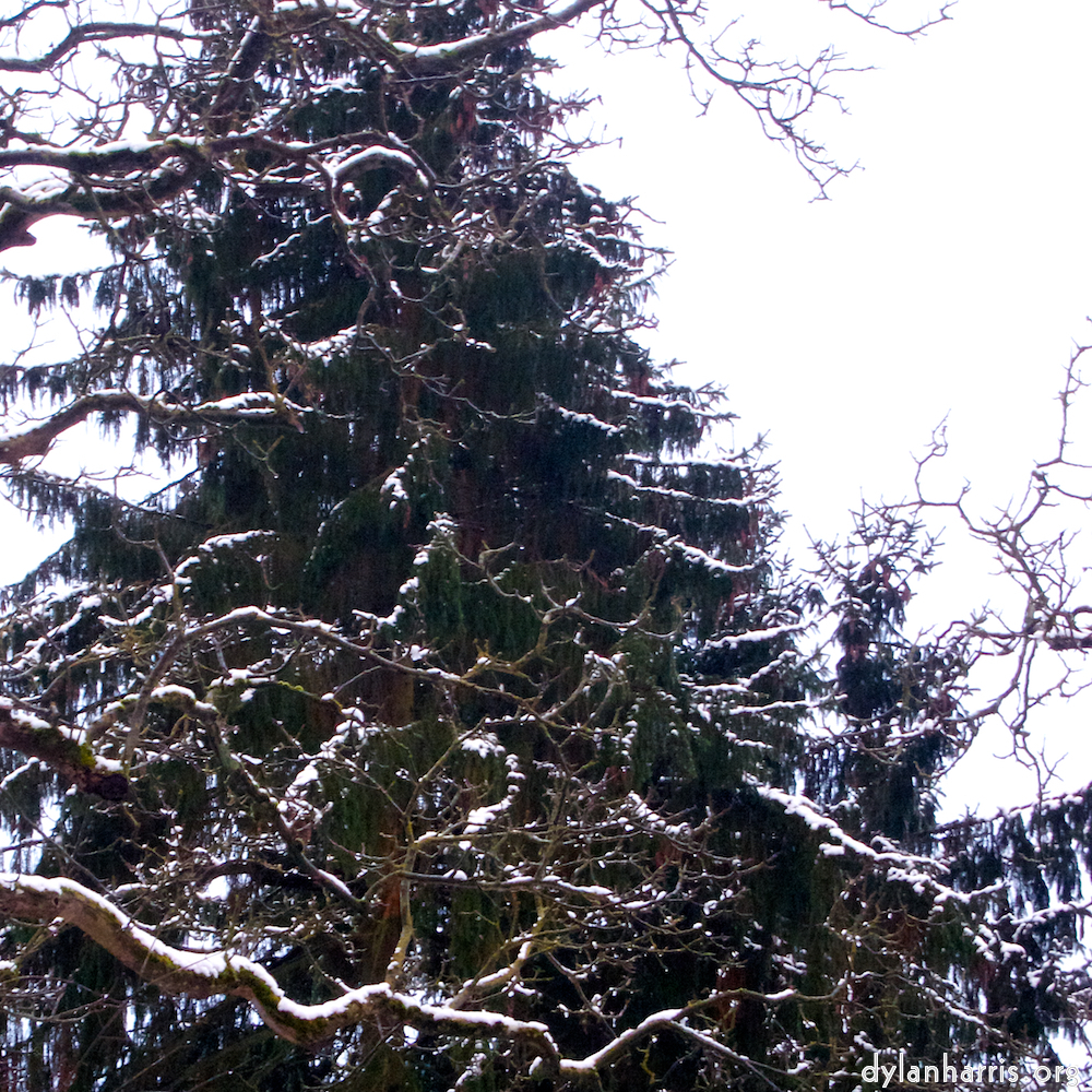 Image 'way to work (v) 5'.