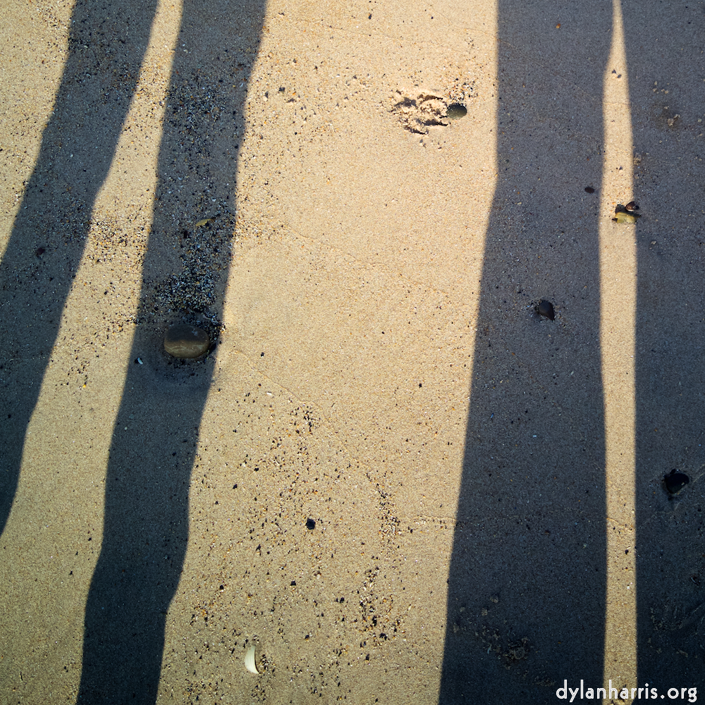 Image: Image 'alnmouth (iii) 6'.