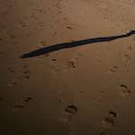 Image: First image from the photoset 'alnmouth (iii)'.