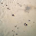Image: Third image from the photoset 'alnmouth (iii)'.