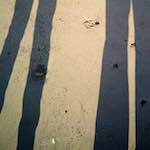 Image: Sixth image from the photoset 'alnmouth (iii)'.