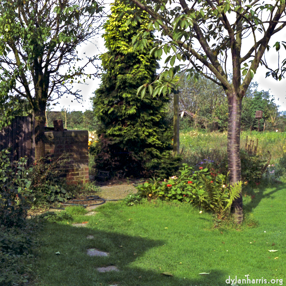 Image '55 6'.