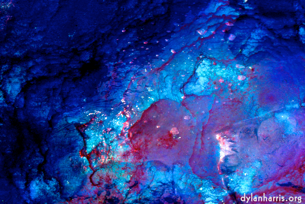 Image: After the mold