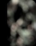 Sixteenth image from the photoset 'front (i)'.
