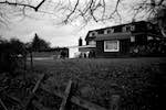 Image: Fourth image from the photoset 'home'.