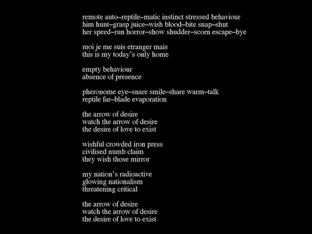 image: an image
