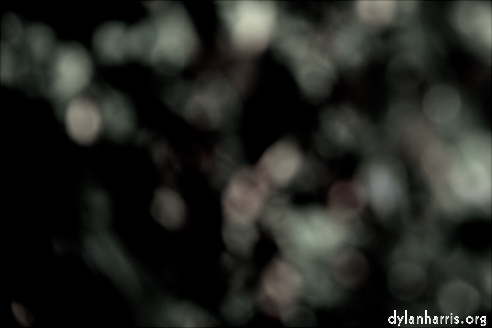 Image: Image 'leaf (ii) 5'.