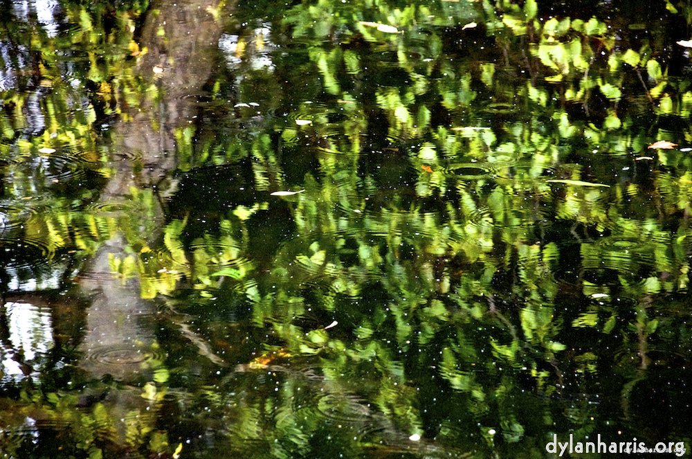 Image: St. Stephens Green Pond