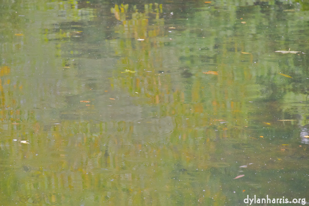 Image: St. Stephens Green Pond