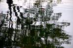 Second image from the photoset 'water (i)'.
