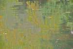 Third image from the photoset 'water (i)'.