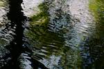 Fifth image from the photoset 'water (i)'.