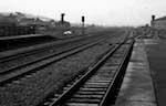Image: Second image from the photoset 'rail'.